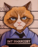 Chat prisonnier - 24*30 cm-2016 - acrylique sur toile